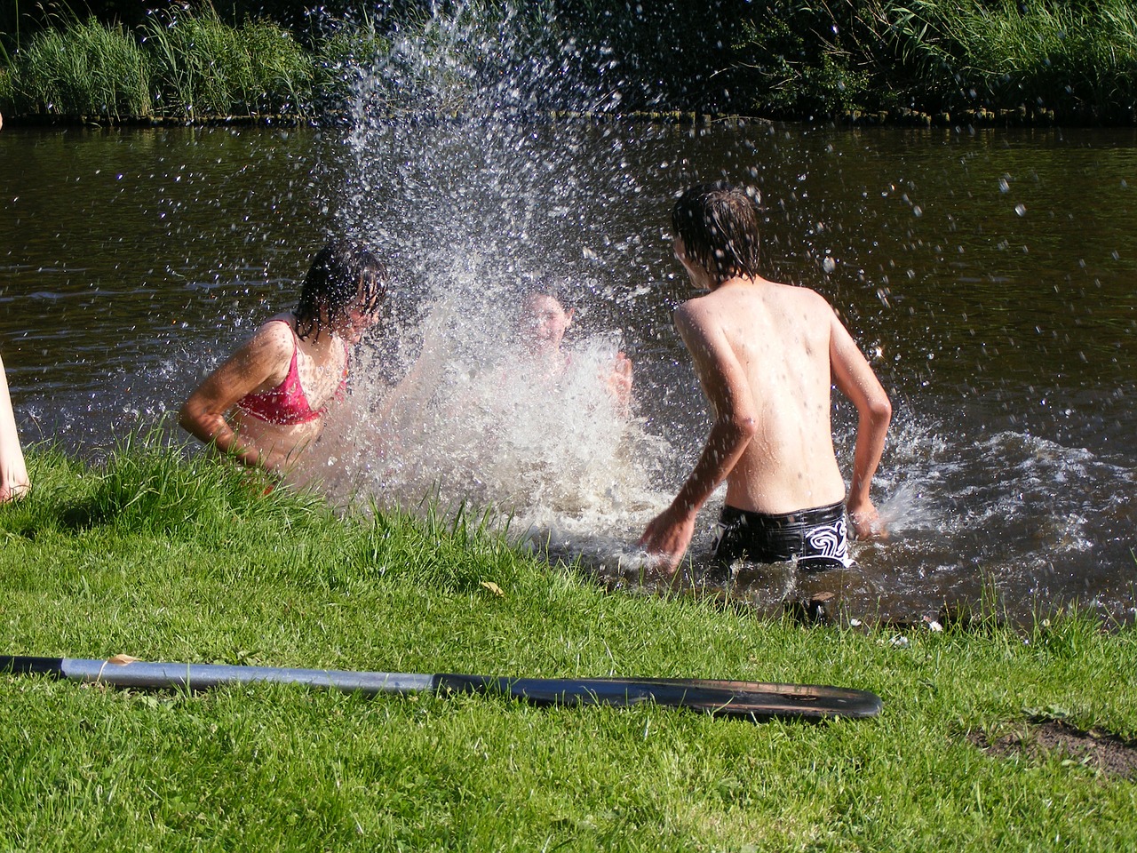swim fun summer free photo
