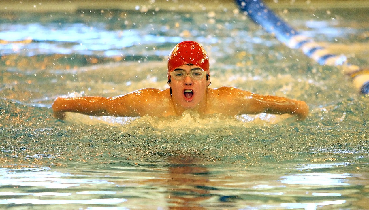 swimmer swimming athlete free photo