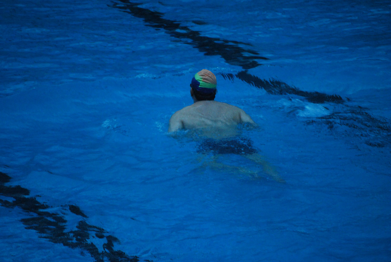 swimmer swim pool free photo