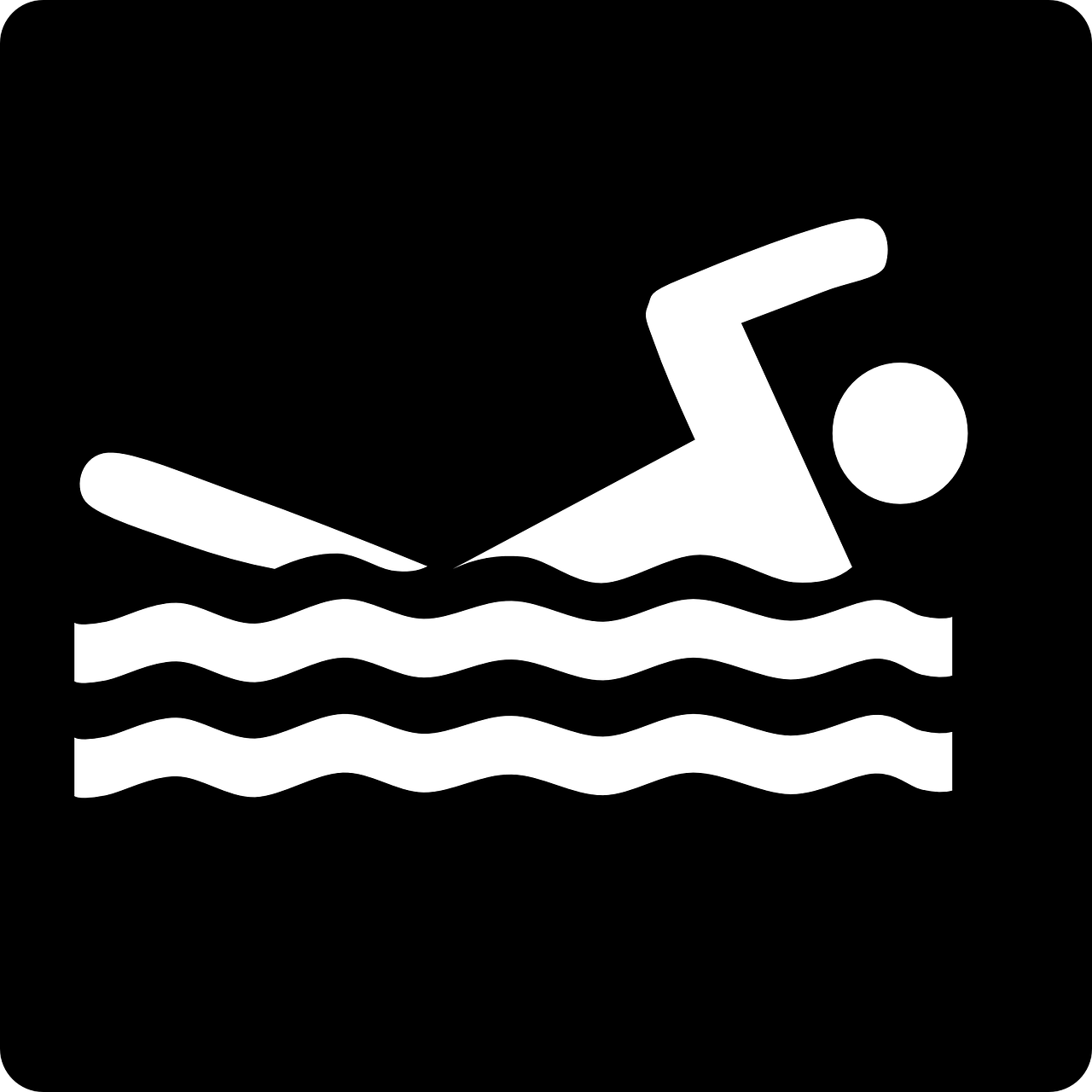 swimmer swimming do the crawl free photo