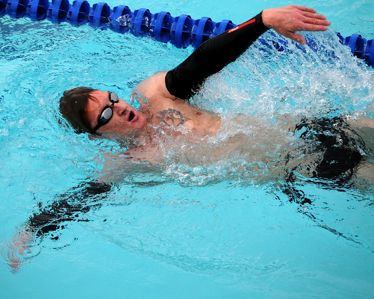 swimmer swimming backstroke free photo
