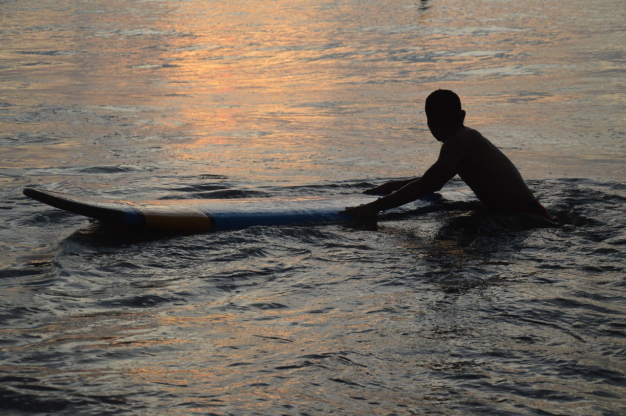 swimming surfing water free photo