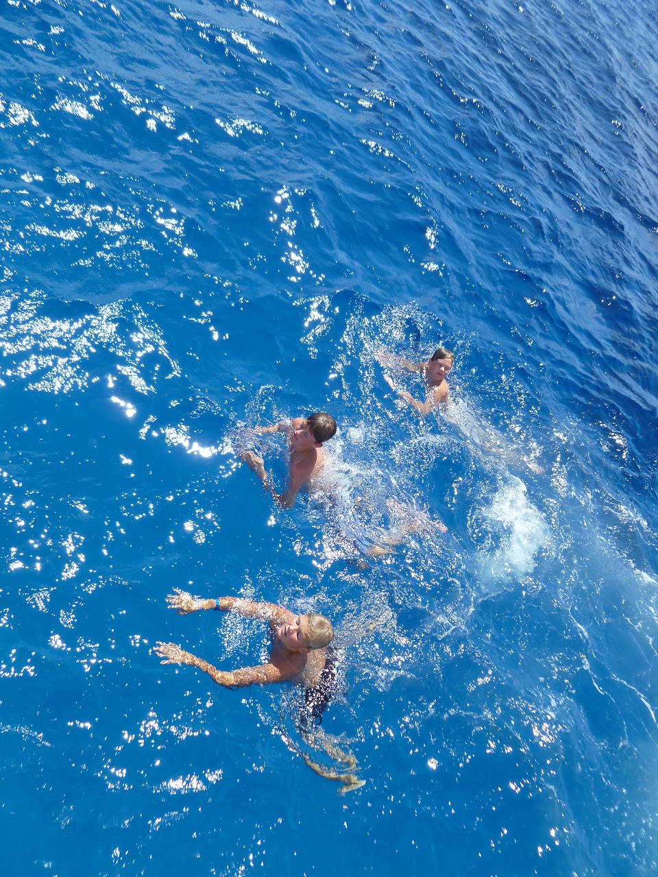 swimming blue cayman islands free photo