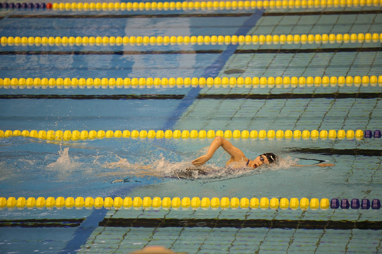 swimming pool swimmer free photo