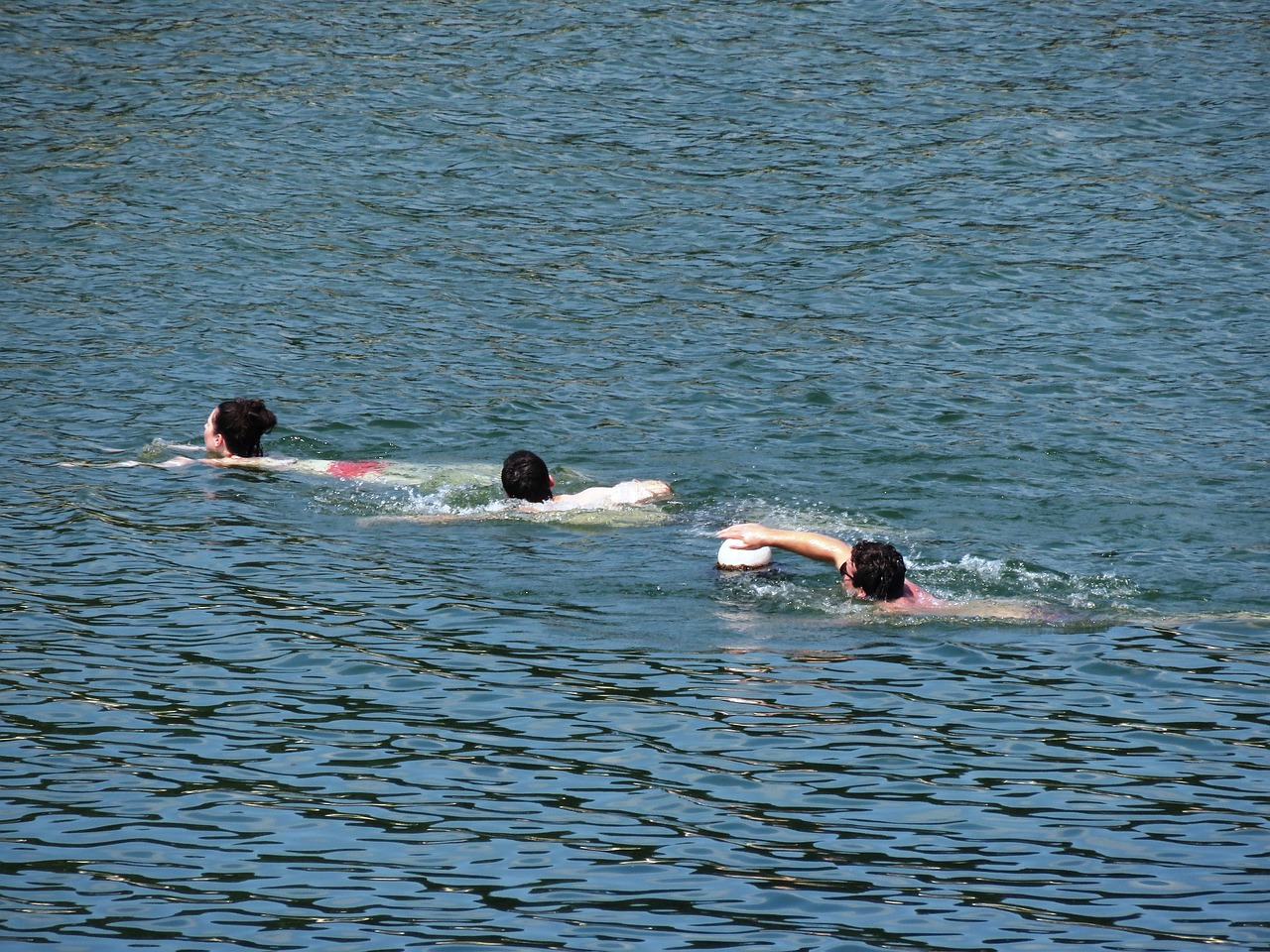 swimming ocean blue free photo