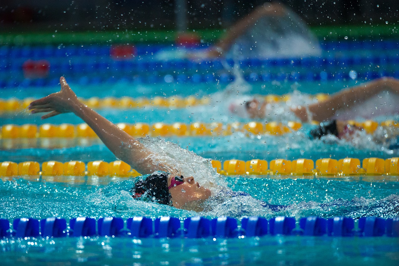 swimming  sport  pool free photo