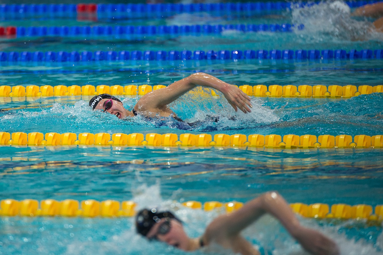 swimming  sport  pool free photo