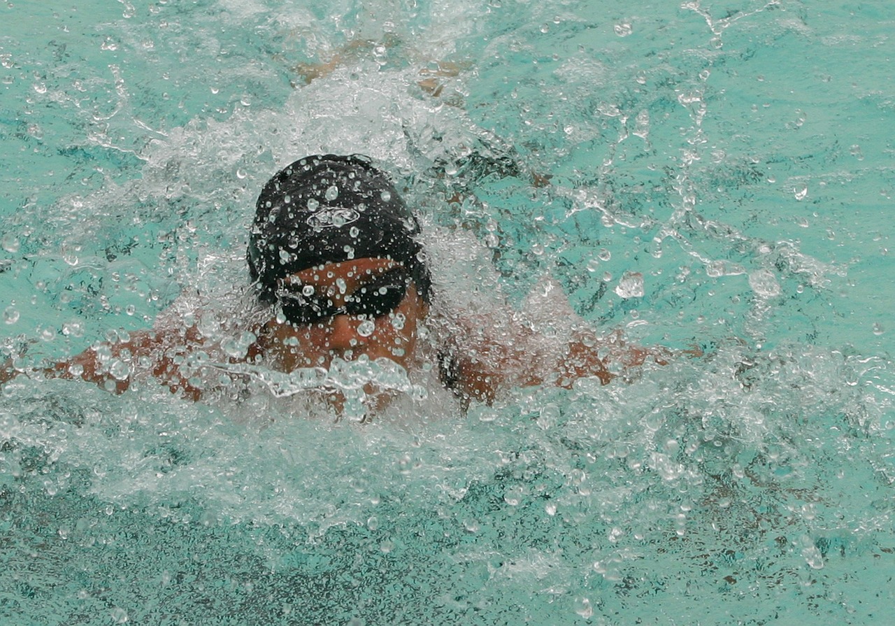 swimming swimmer competition free photo