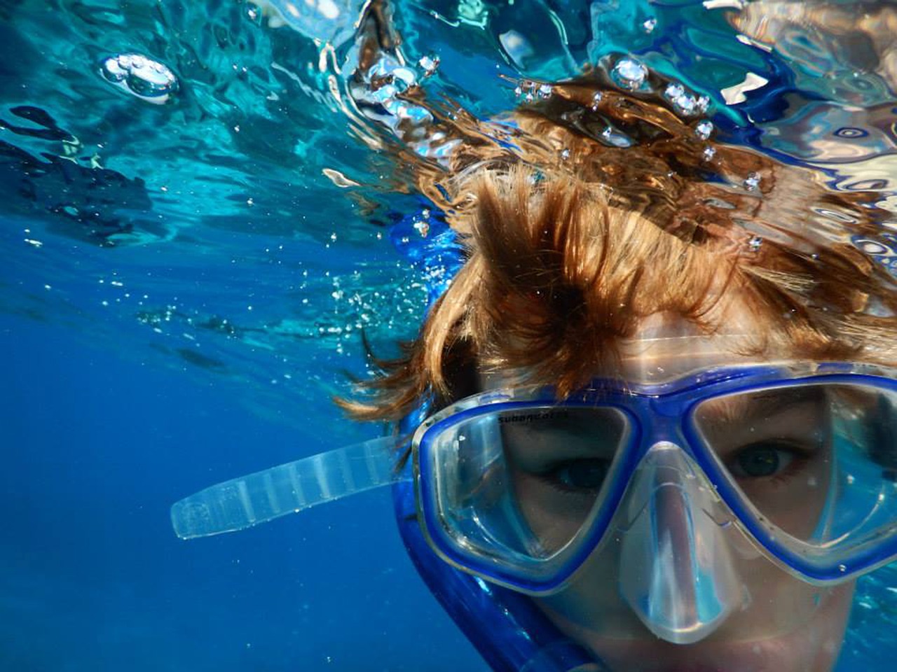 swimming snorkeling ocean free photo