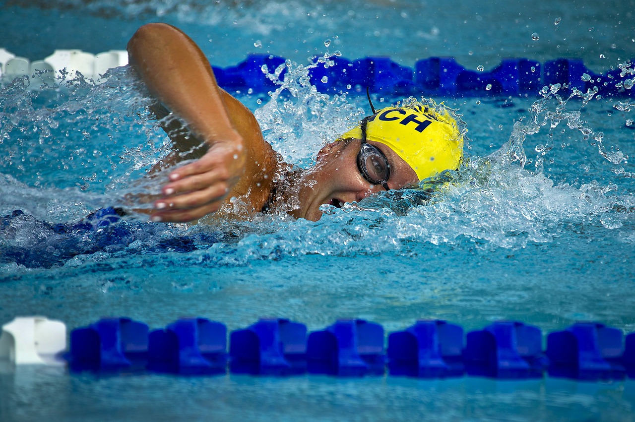 swimming swimmer female free photo