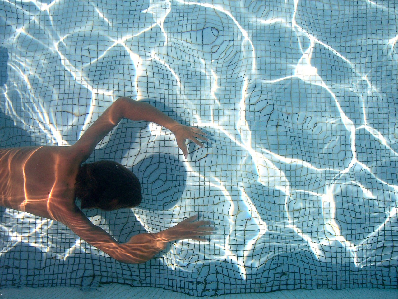 swimming pool swim free photo