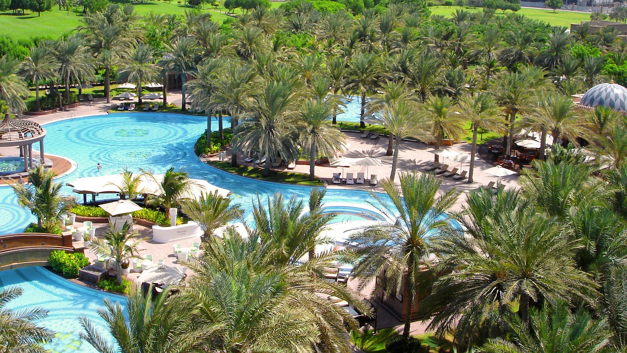 swimming pool palm trees garden free photo