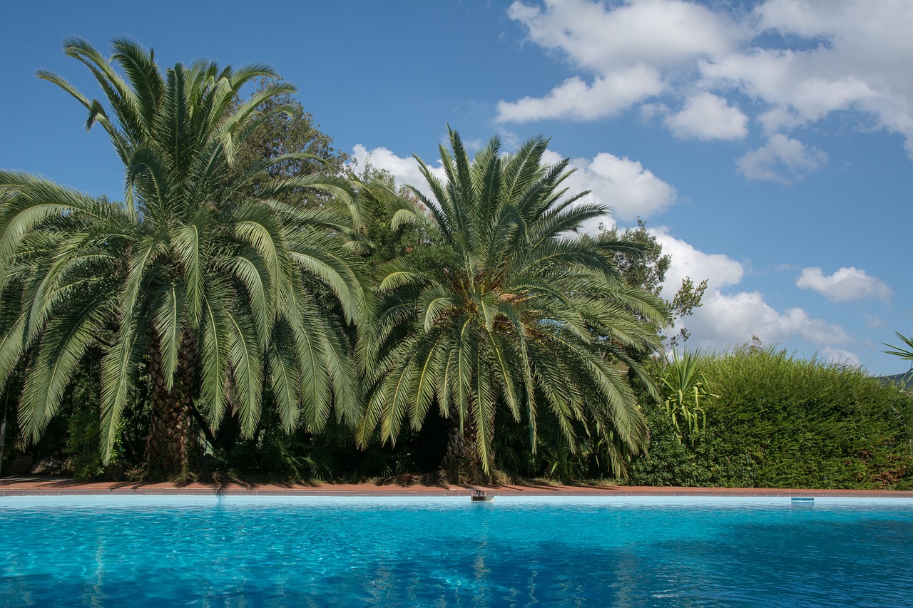 swimming pool palma holiday free photo