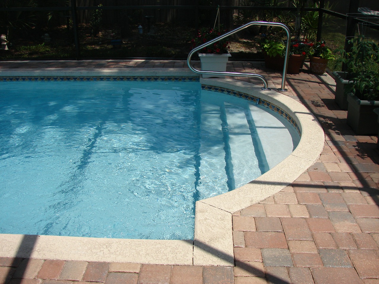 swimming pool swimming pool free photo