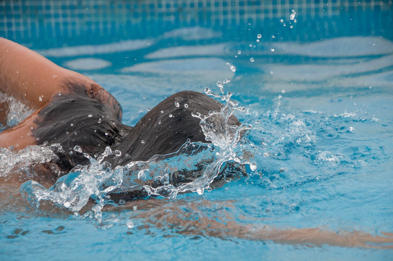 swimming pool  swimming  swimmer free photo