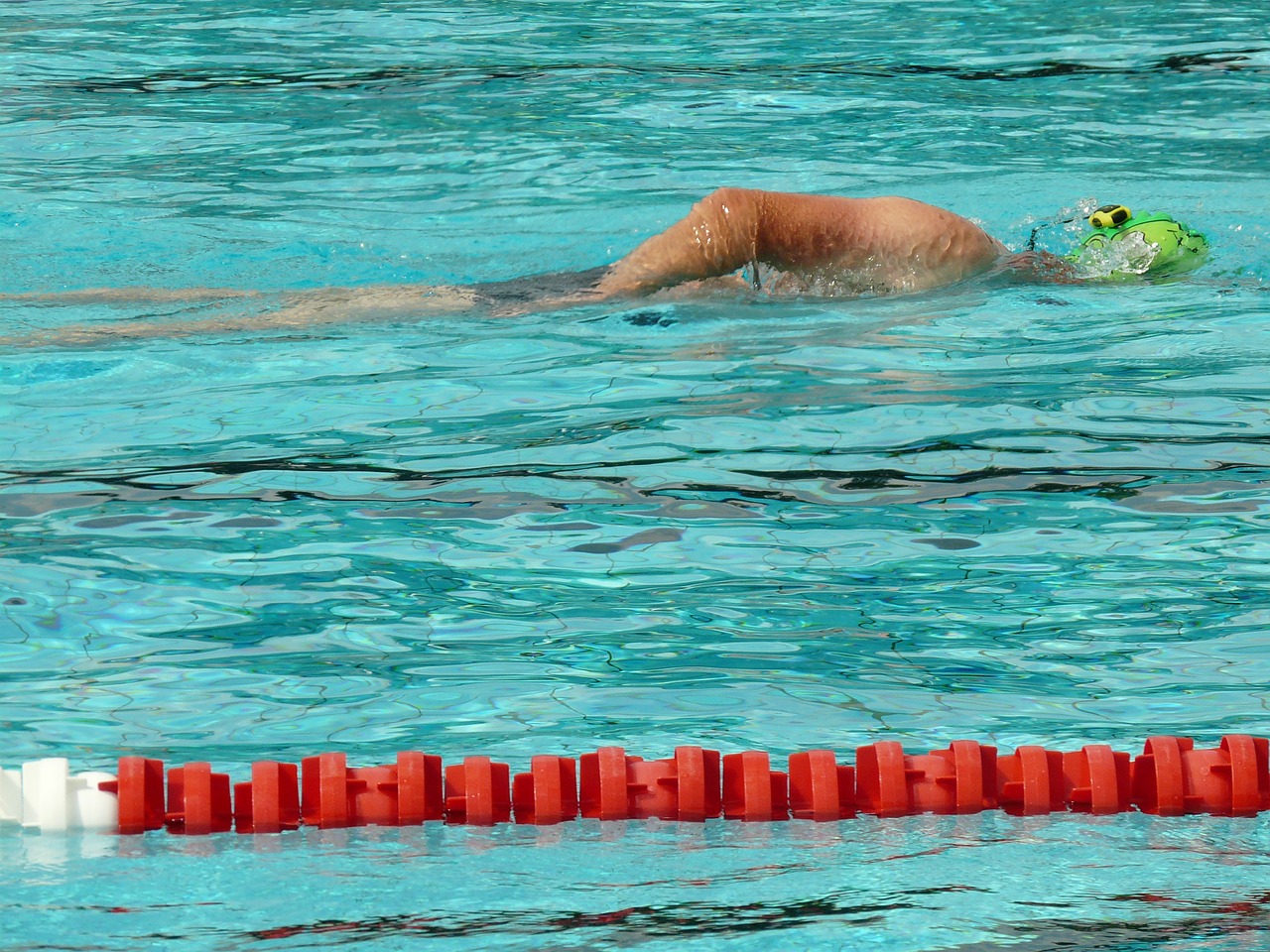 swimming pool outdoor pool swimmer free photo