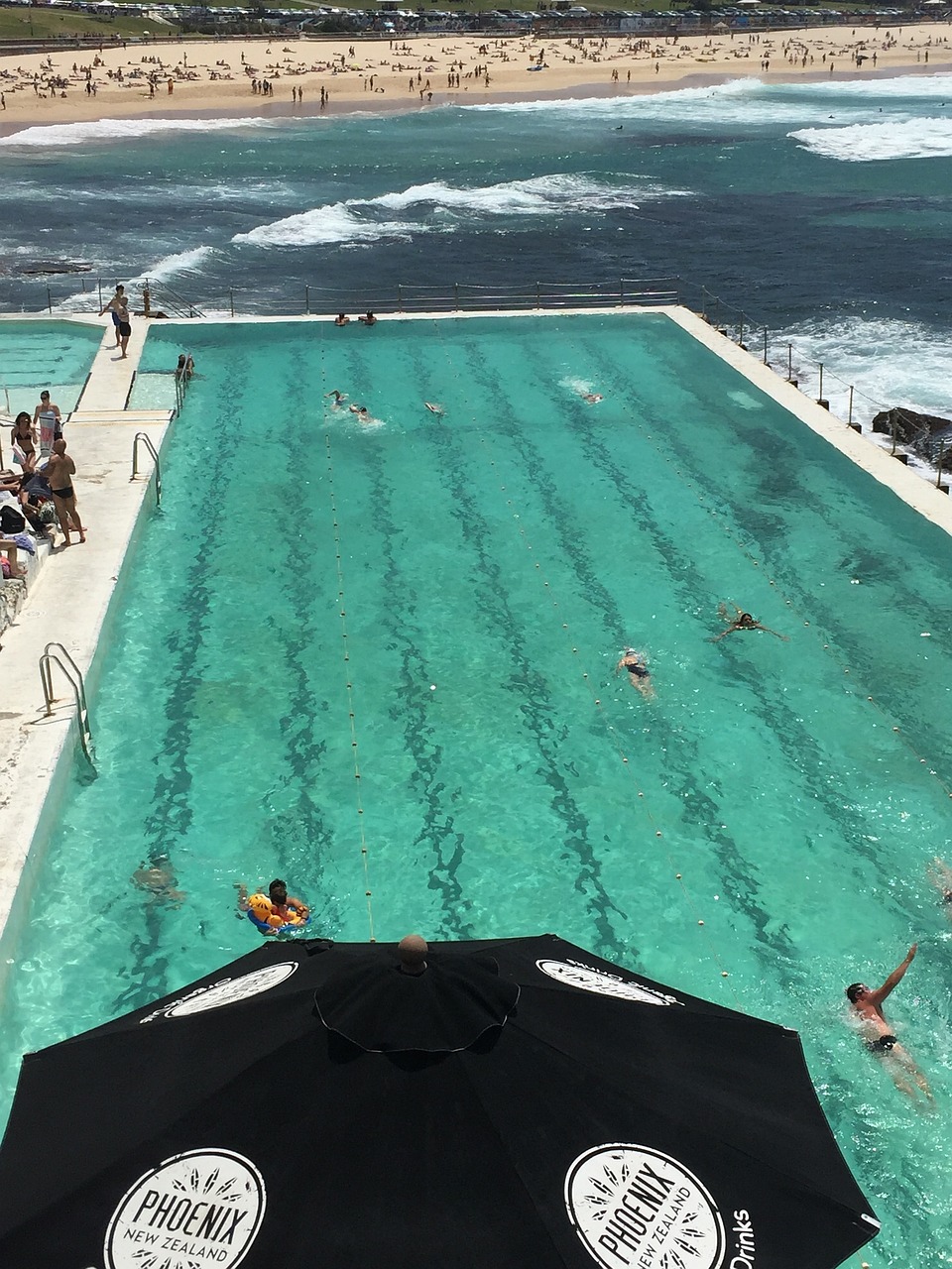 swimming pool ocean resort free photo
