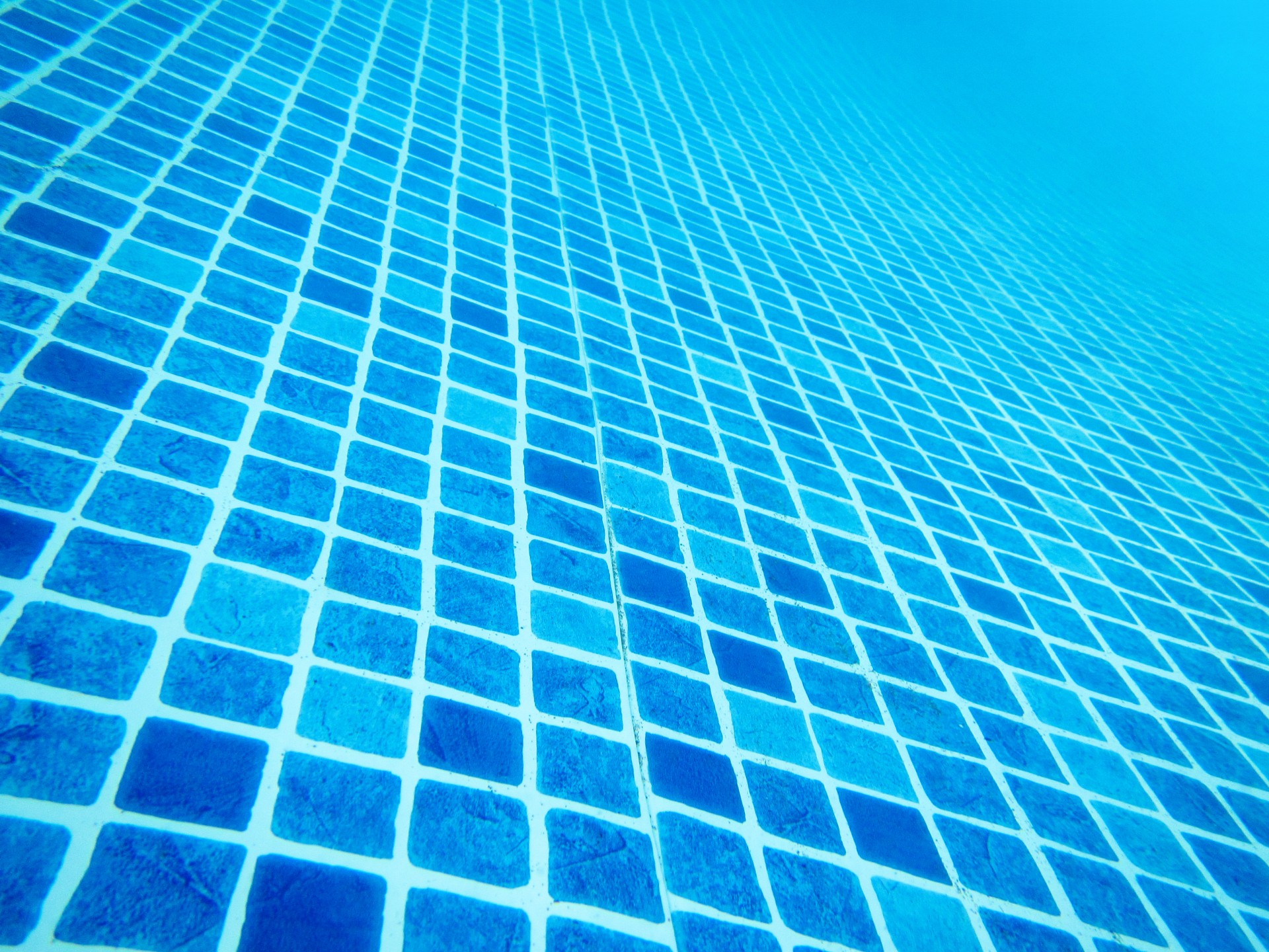 pool swimming water free photo