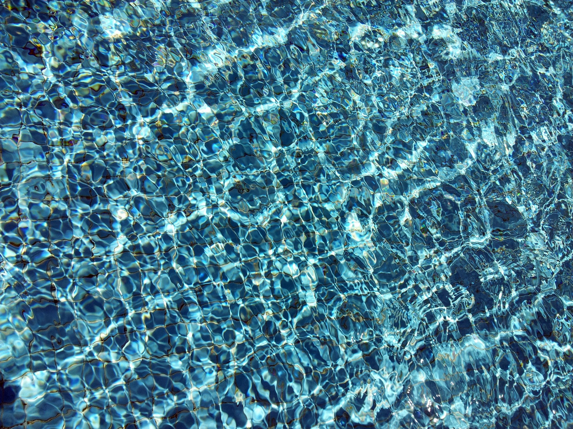 swimming pool water free photo