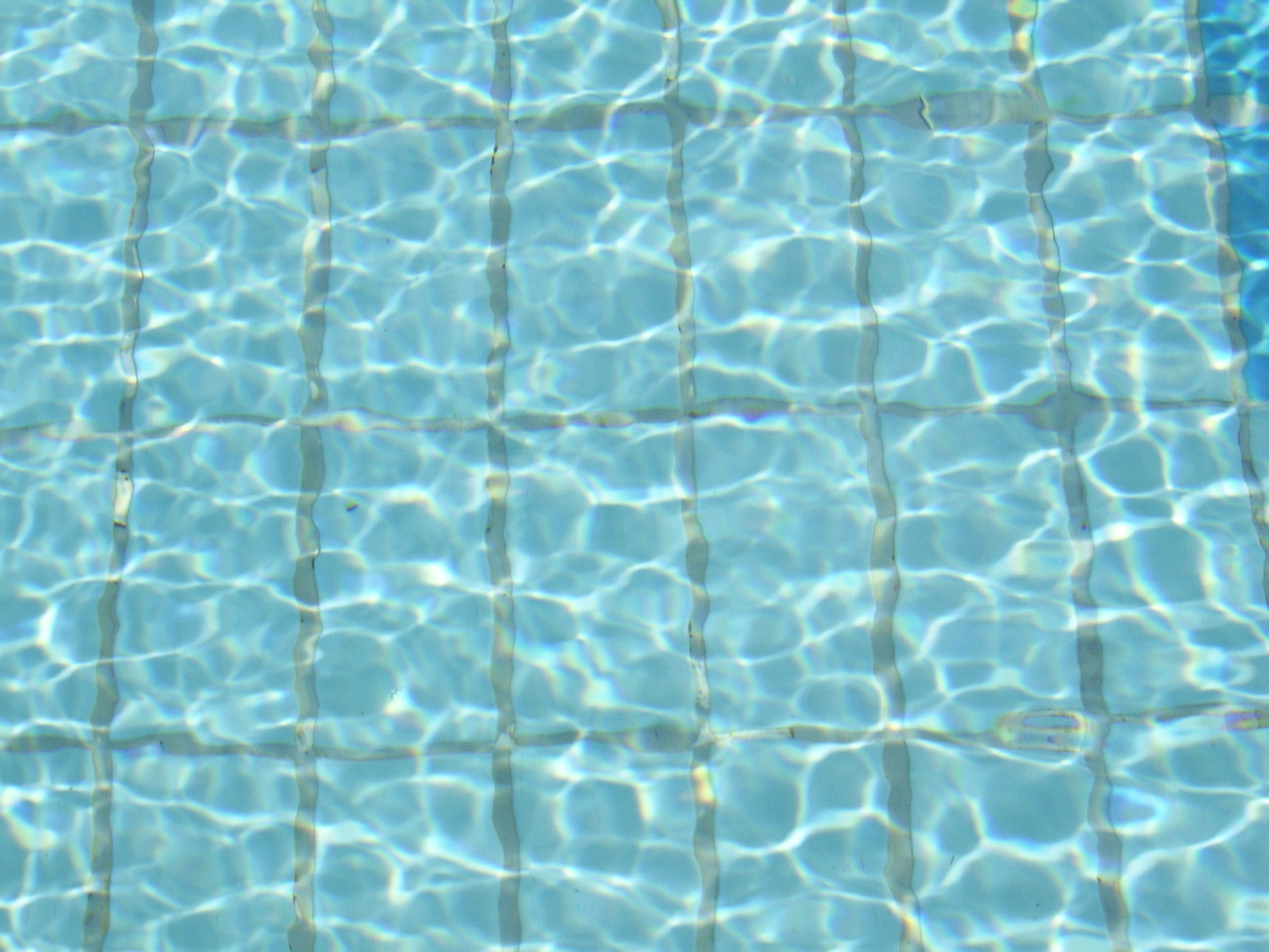 swimming pool water free photo