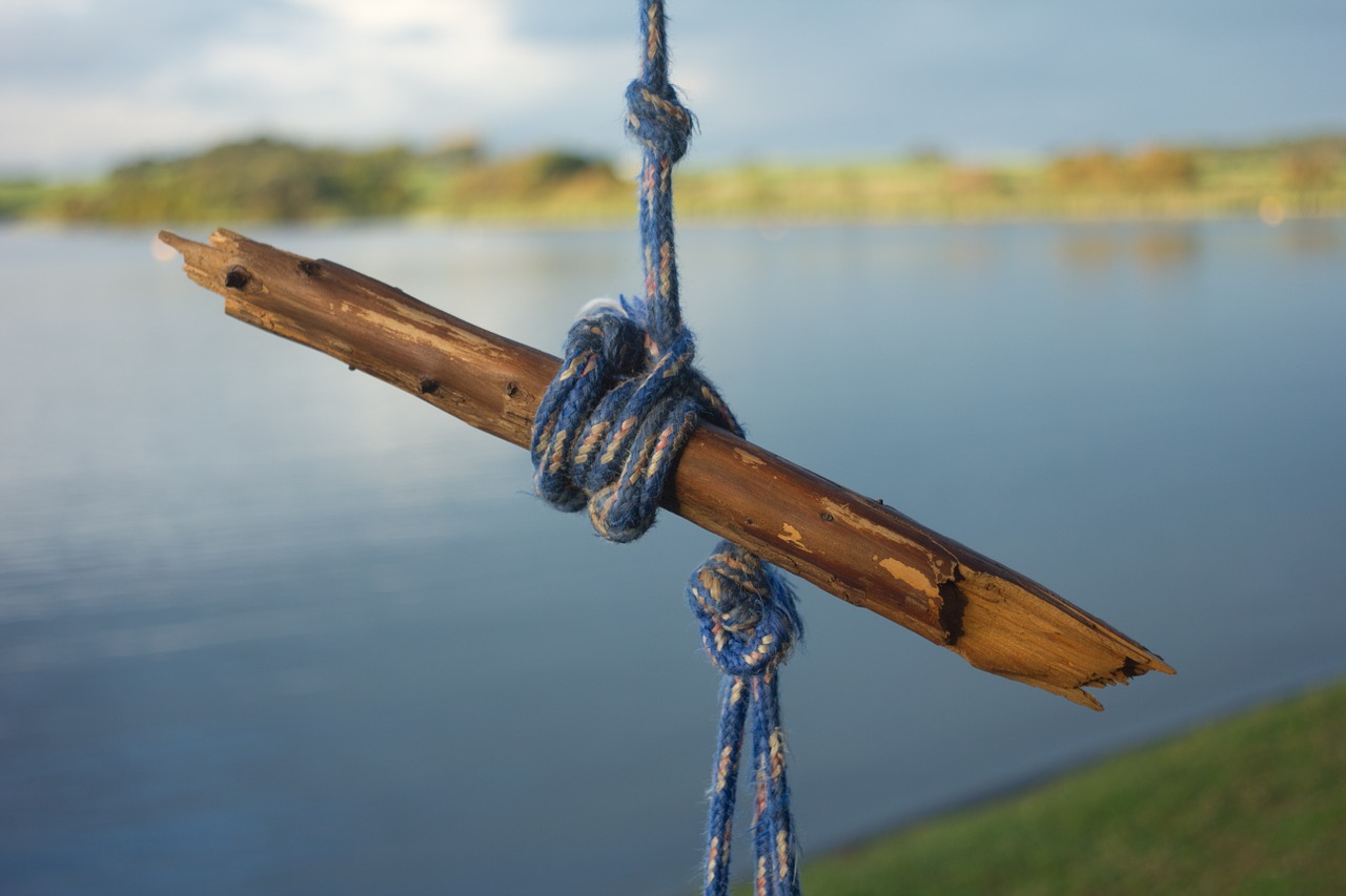 swing lake summer free photo