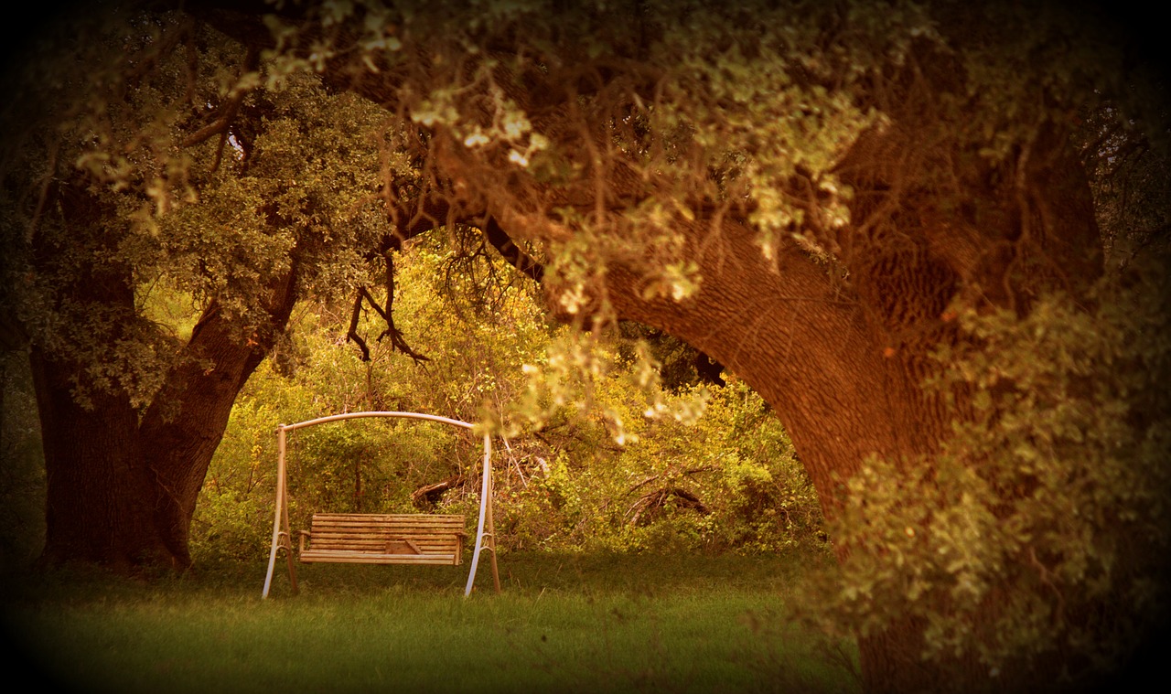 swing peaceful relaxation free photo