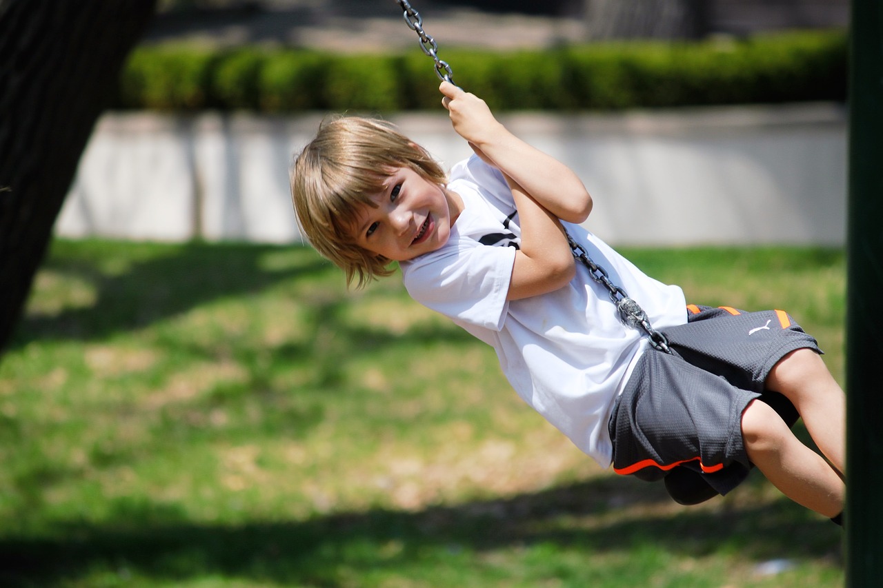 swing boy summer free photo