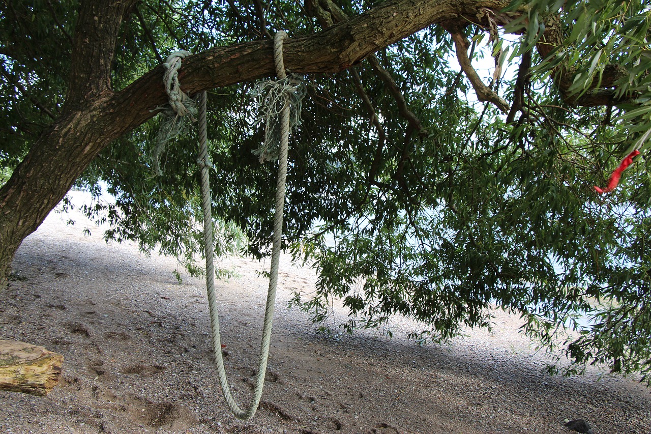 swing rope beach free photo