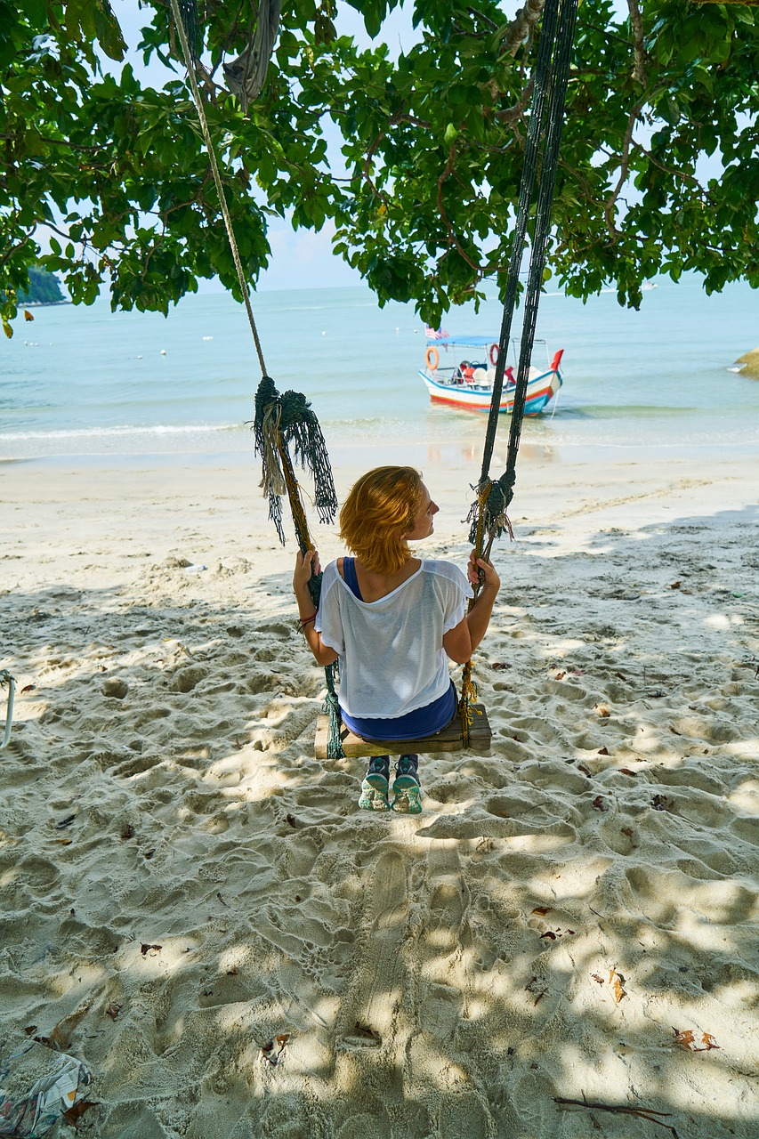 swing marine beach free photo