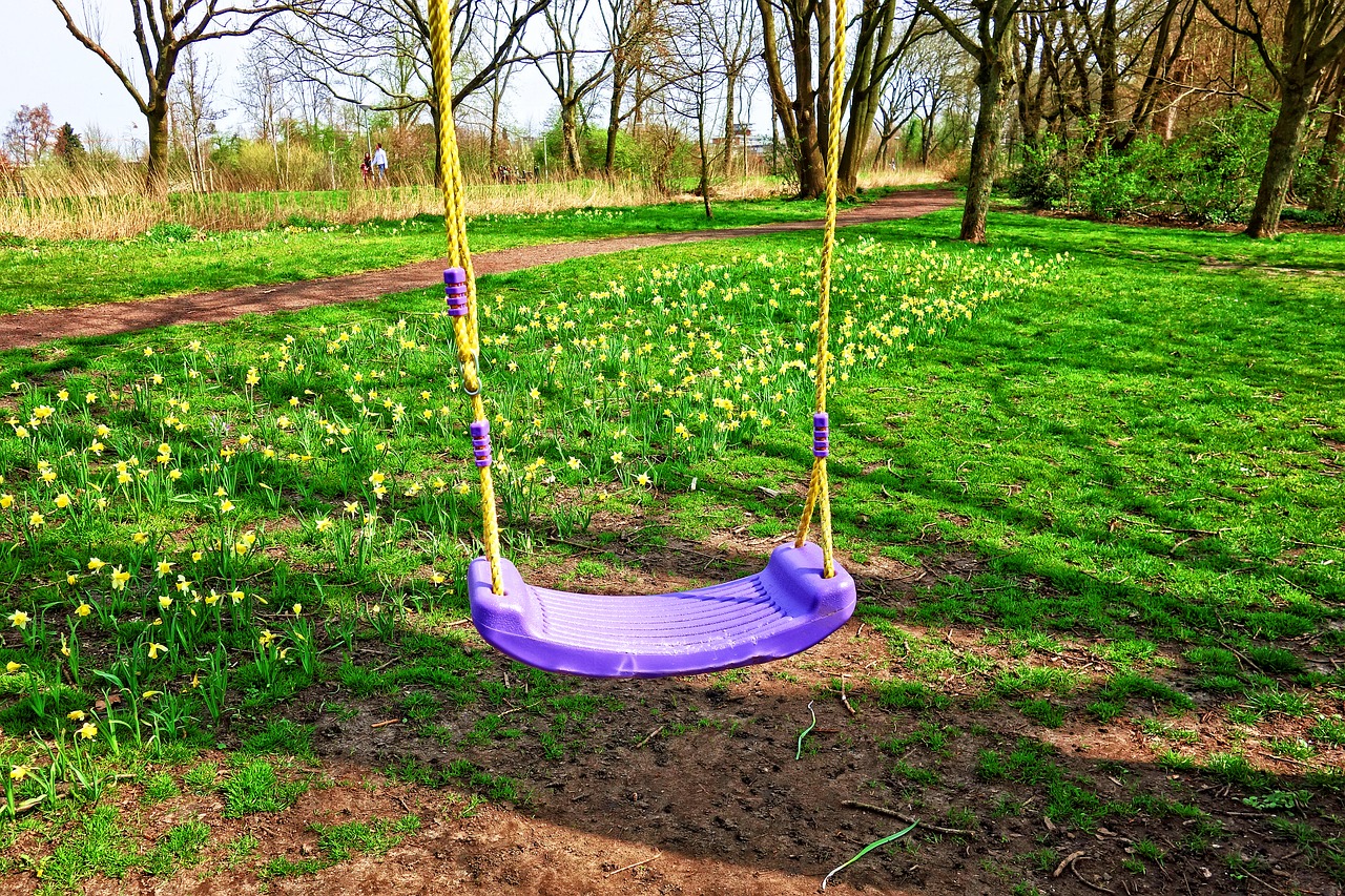 swing  child swing  fun free photo