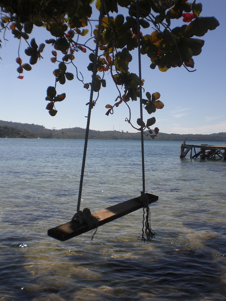 swing sea swing by the sea free photo