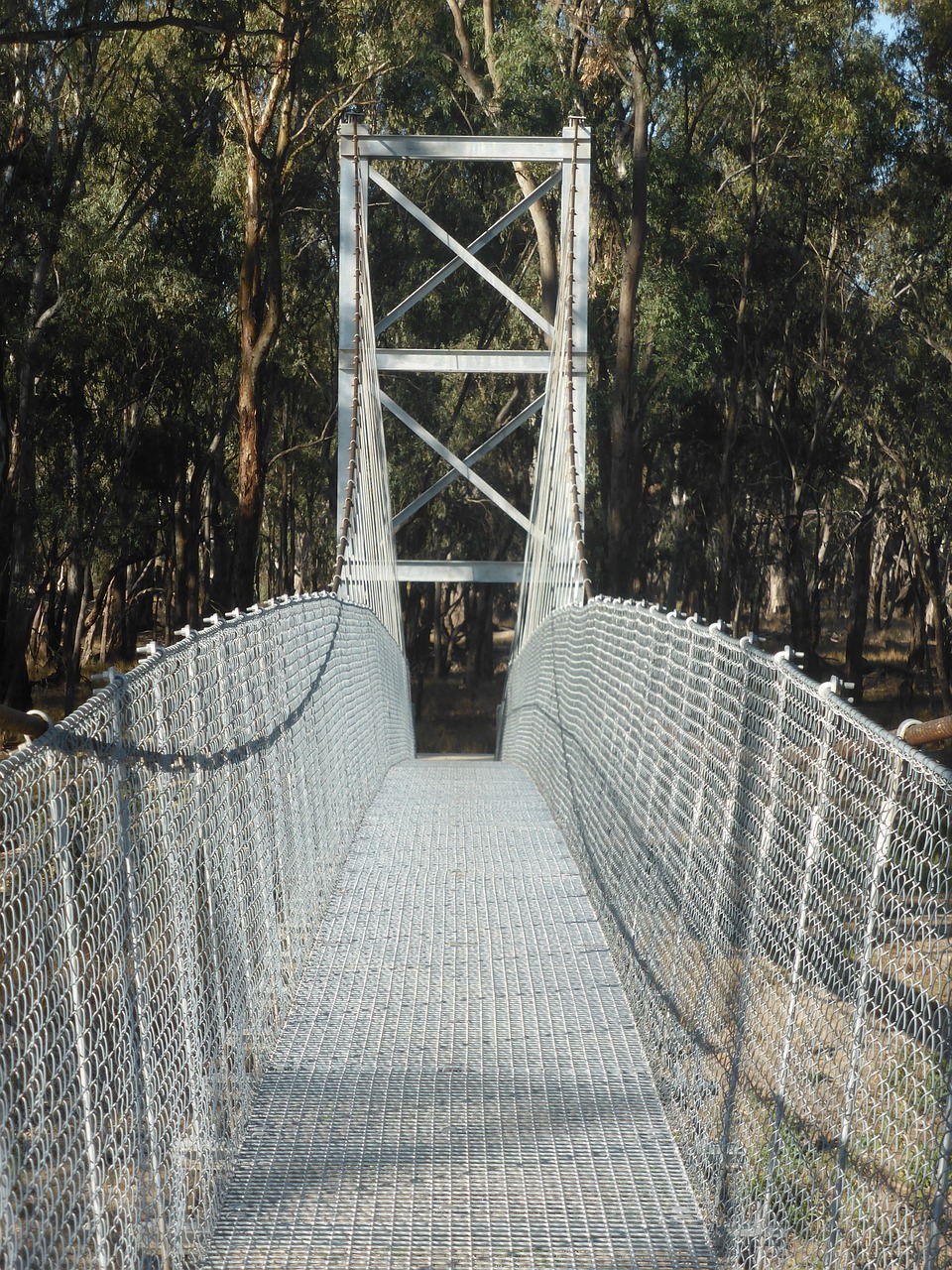 swing bridge pedestrian bridge suspension bridge free photo