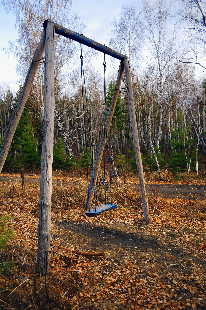 swing woods autumn free photo