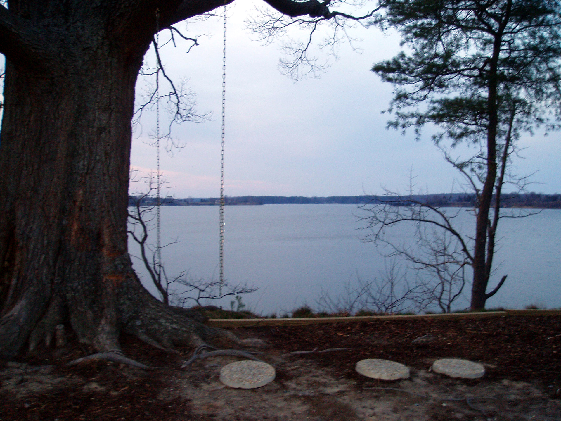 swing chain tree free photo