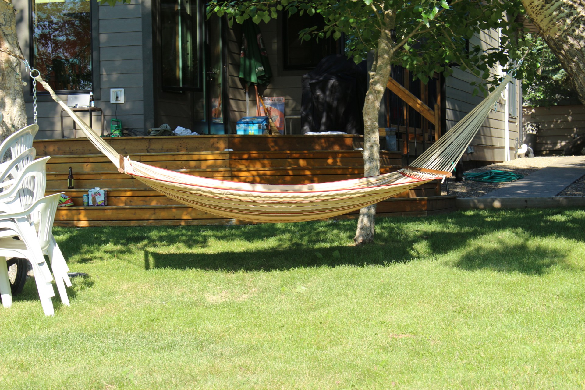 swinging hammock swinging hammock free photo
