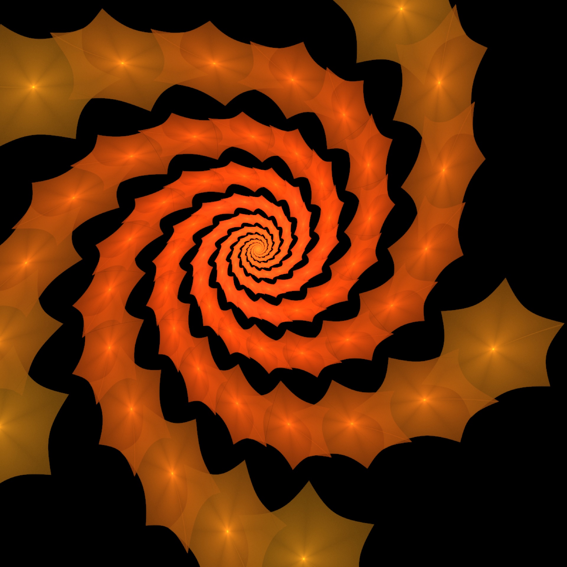 orange spiral black free photo