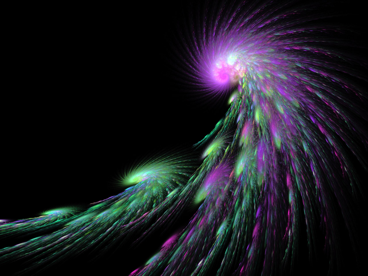 swirls fractal colourful free photo
