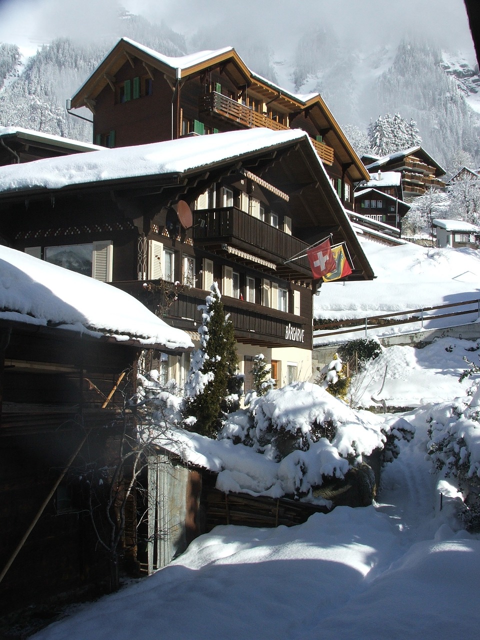 swiss chalets traditional free photo