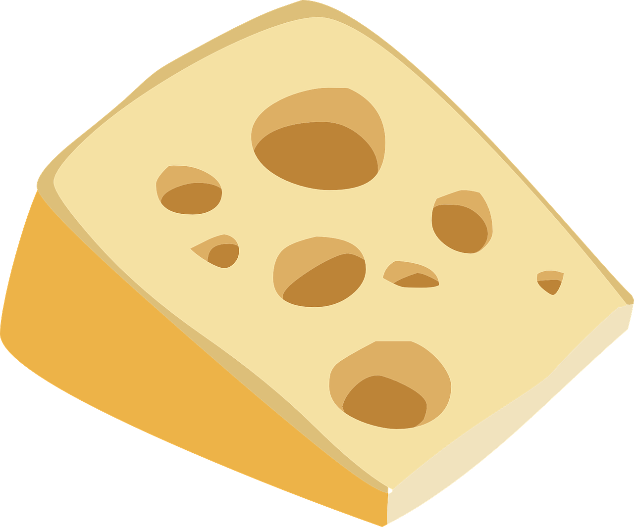 swiss cheese swiss cheese free photo