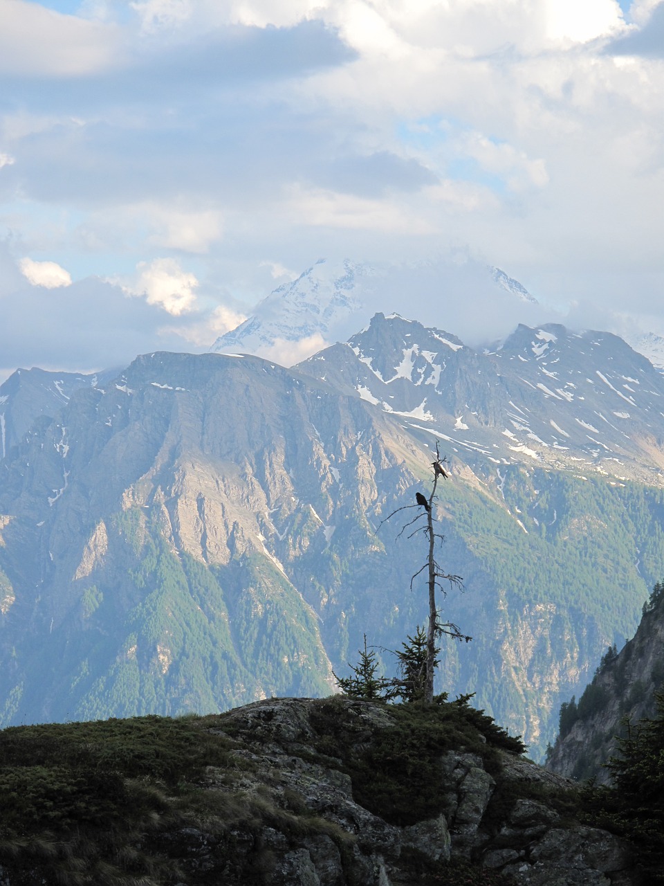 switzerland mountains crow free photo