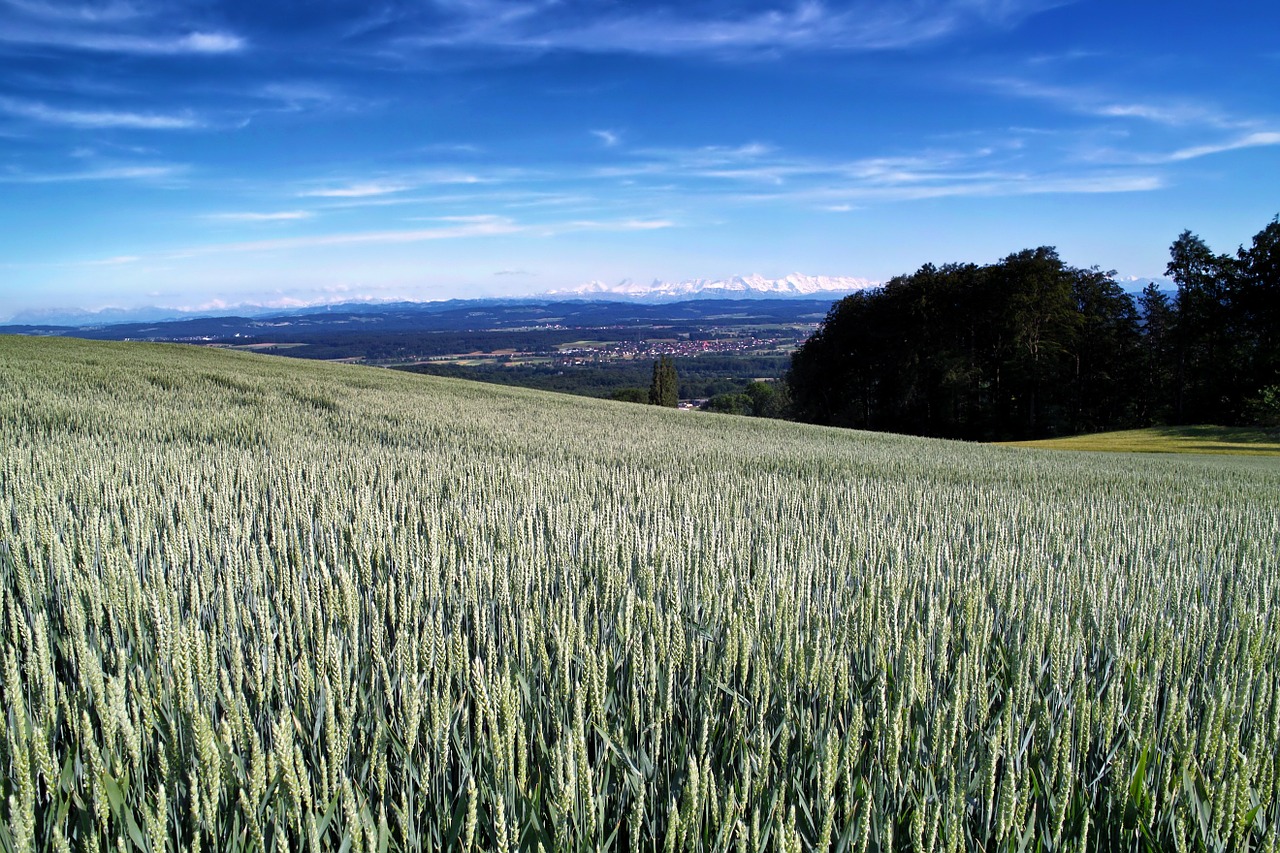 switzerland landscape scenic free photo