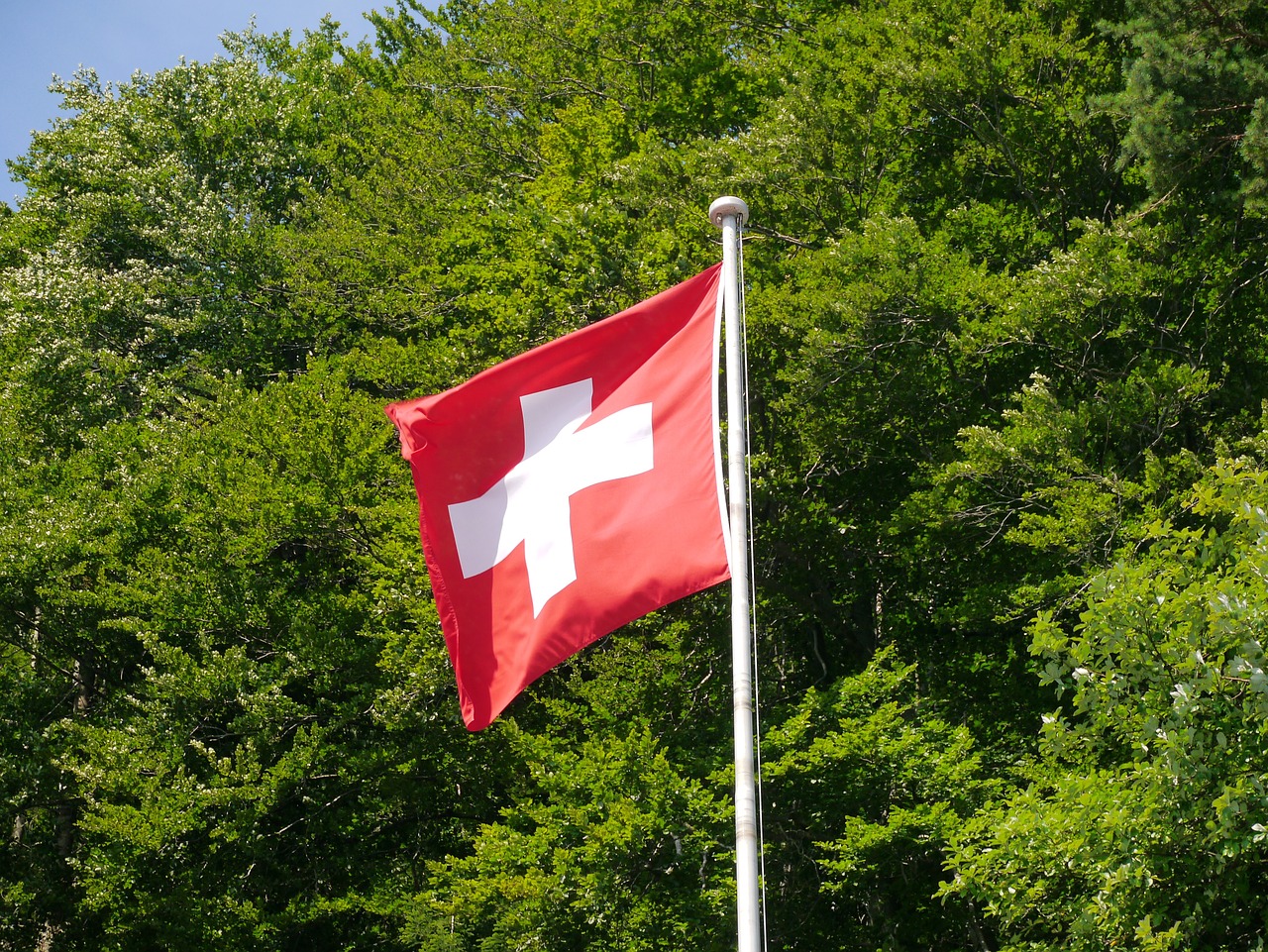 switzerland flag swiss flag free photo