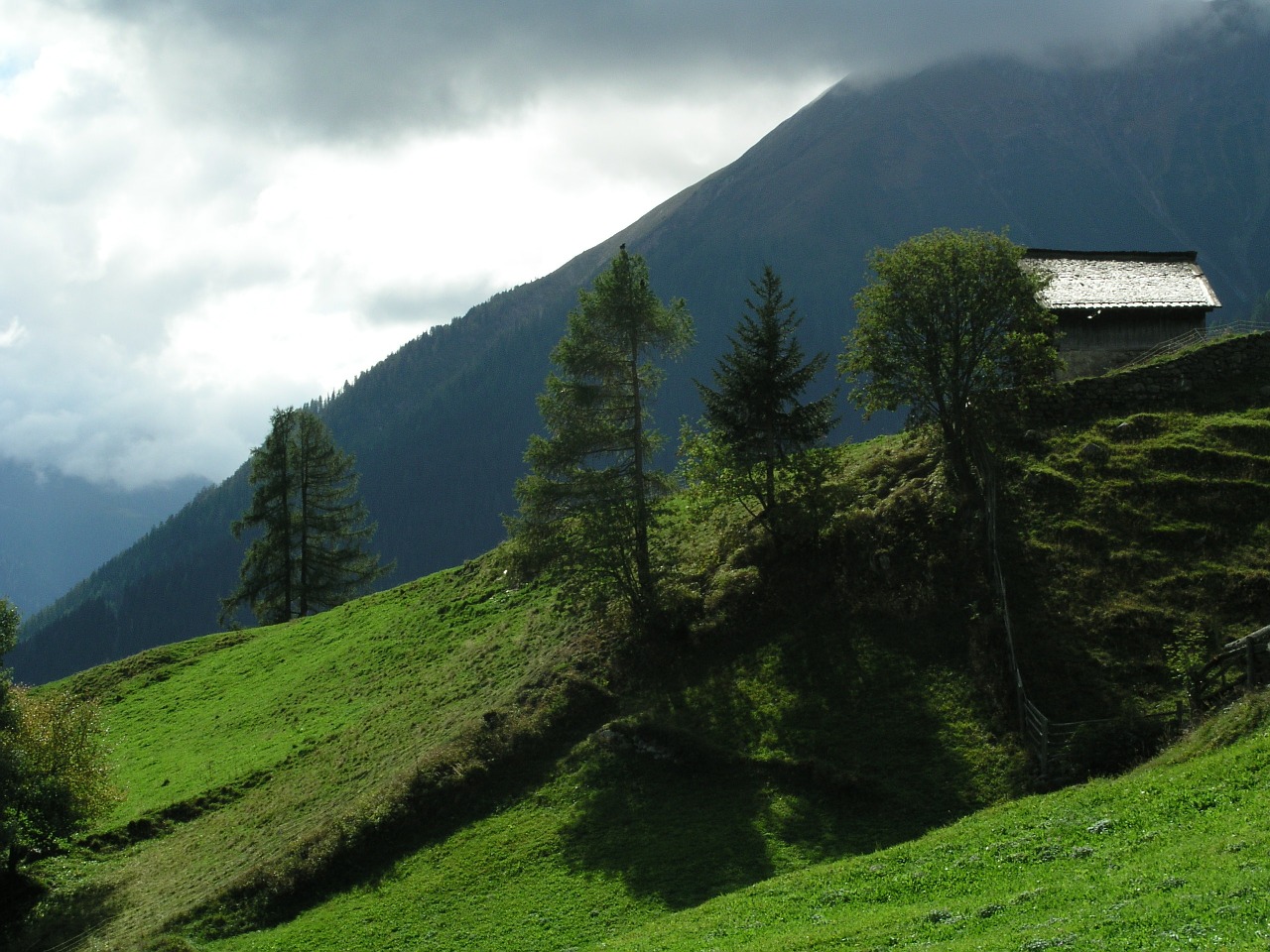 switzerland mountain meadow alpine free photo