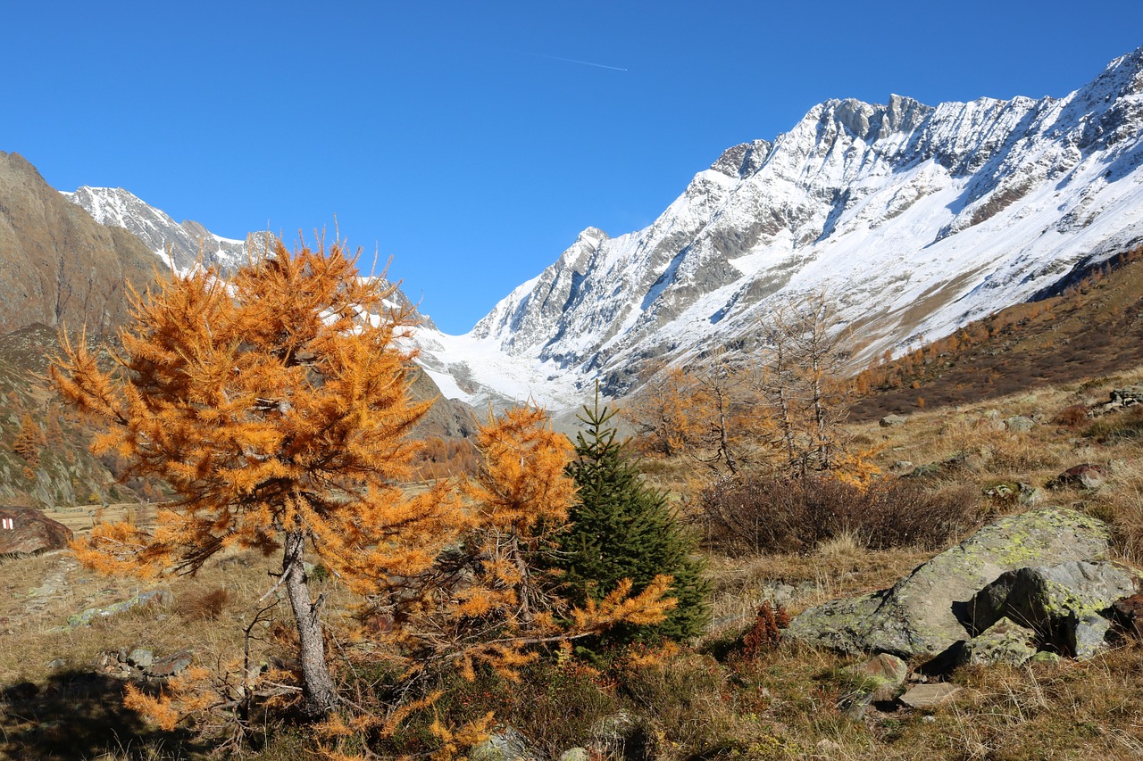 switzerland lötschental mountain free photo