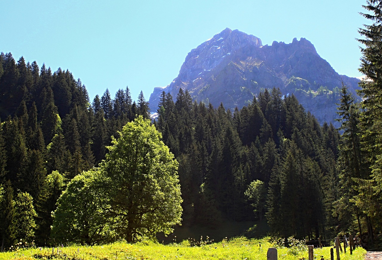 switzerland mountains landscape free photo