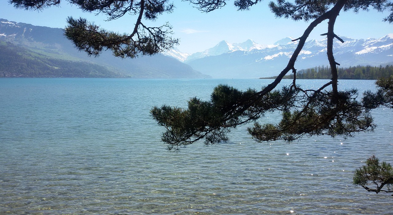 switzerland lake thun free photo