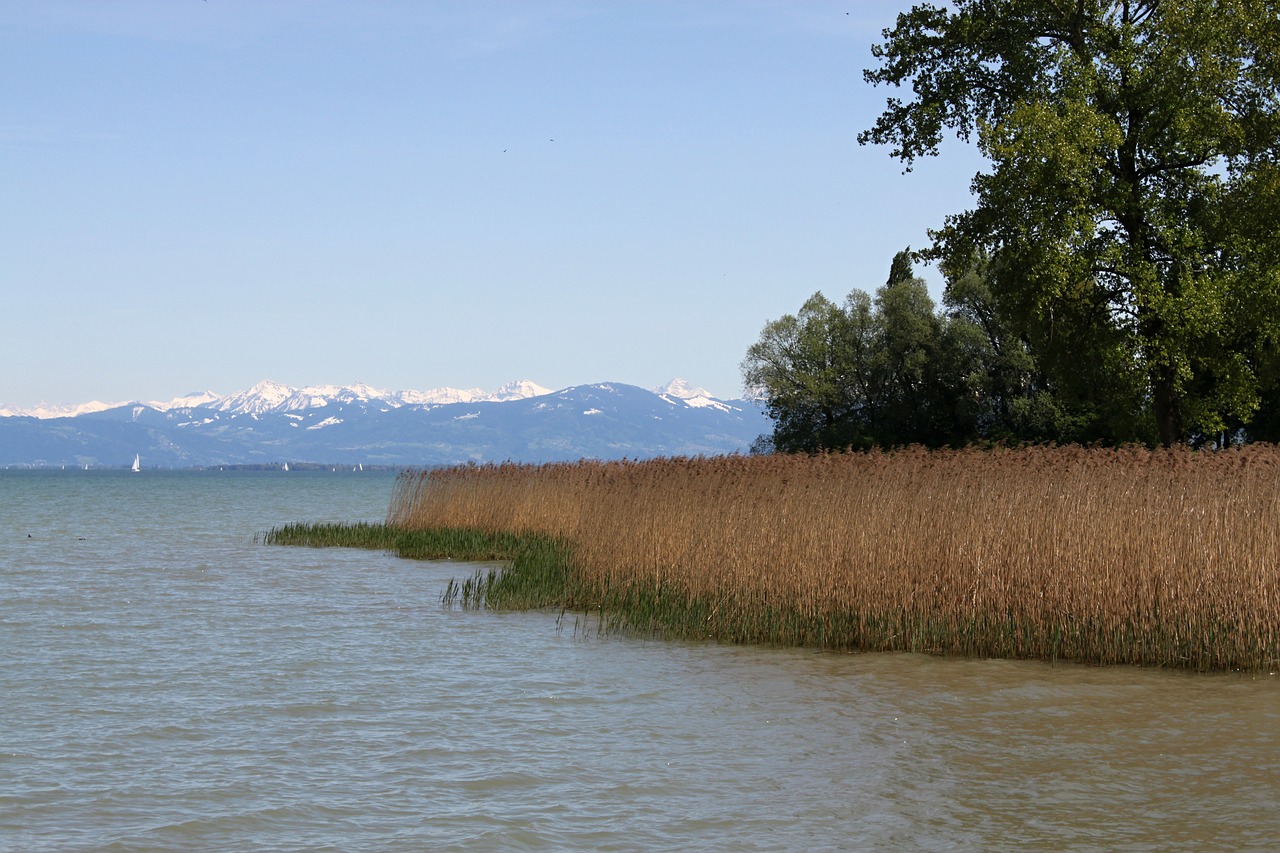 switzerland lake constance lake free photo