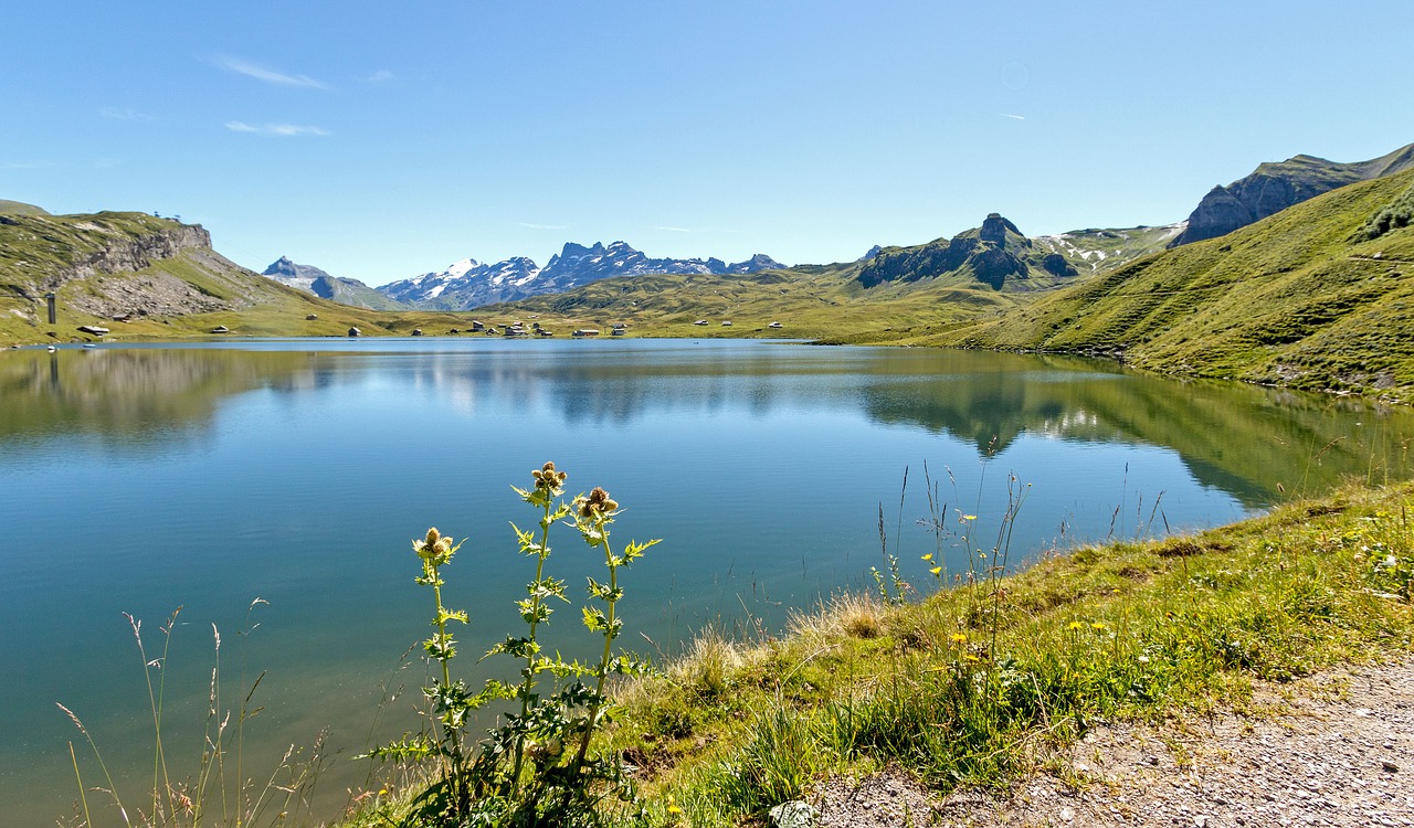 switzerland mountains bergsee free photo