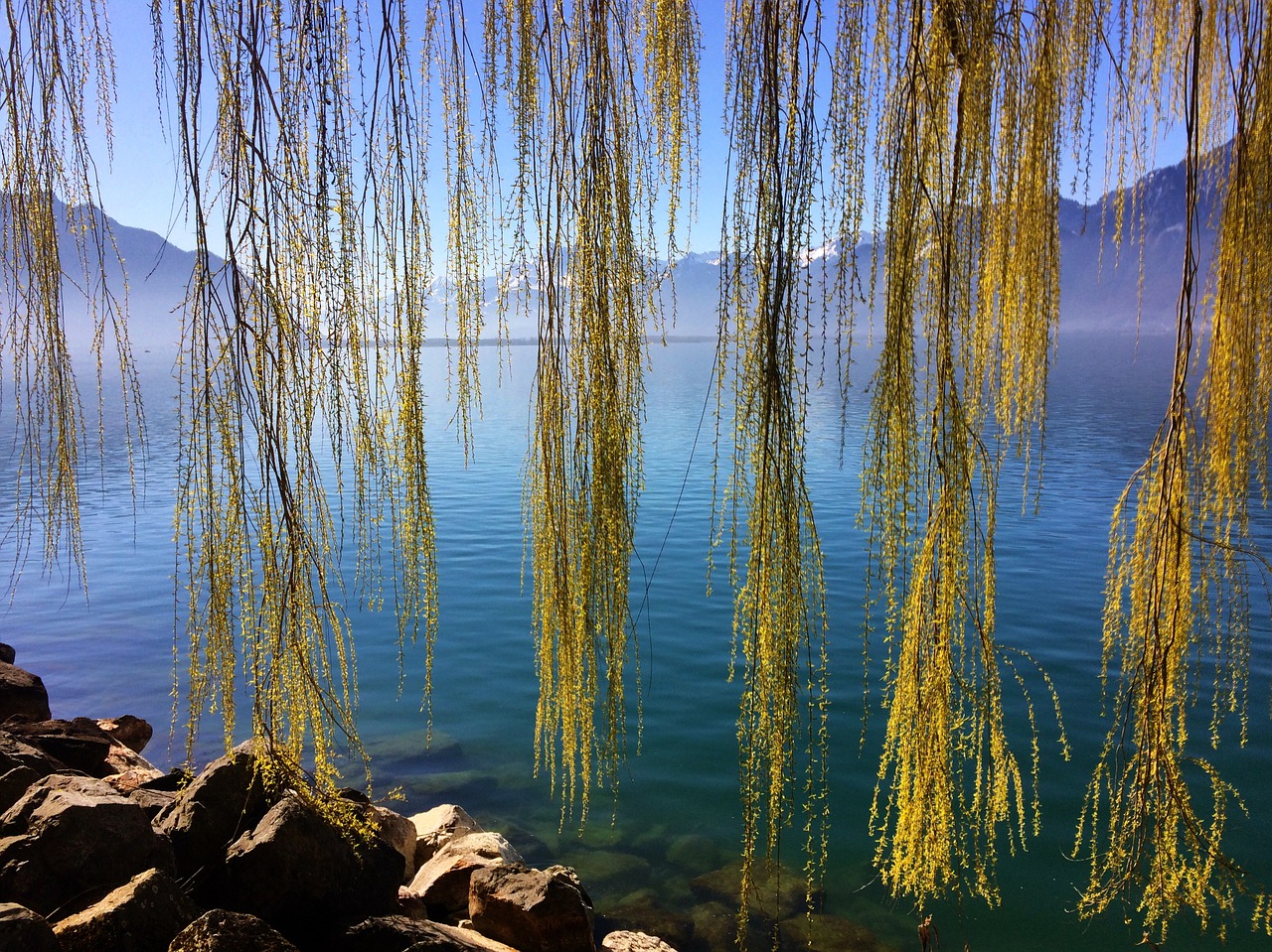 switzerland lake geneva montreux free photo