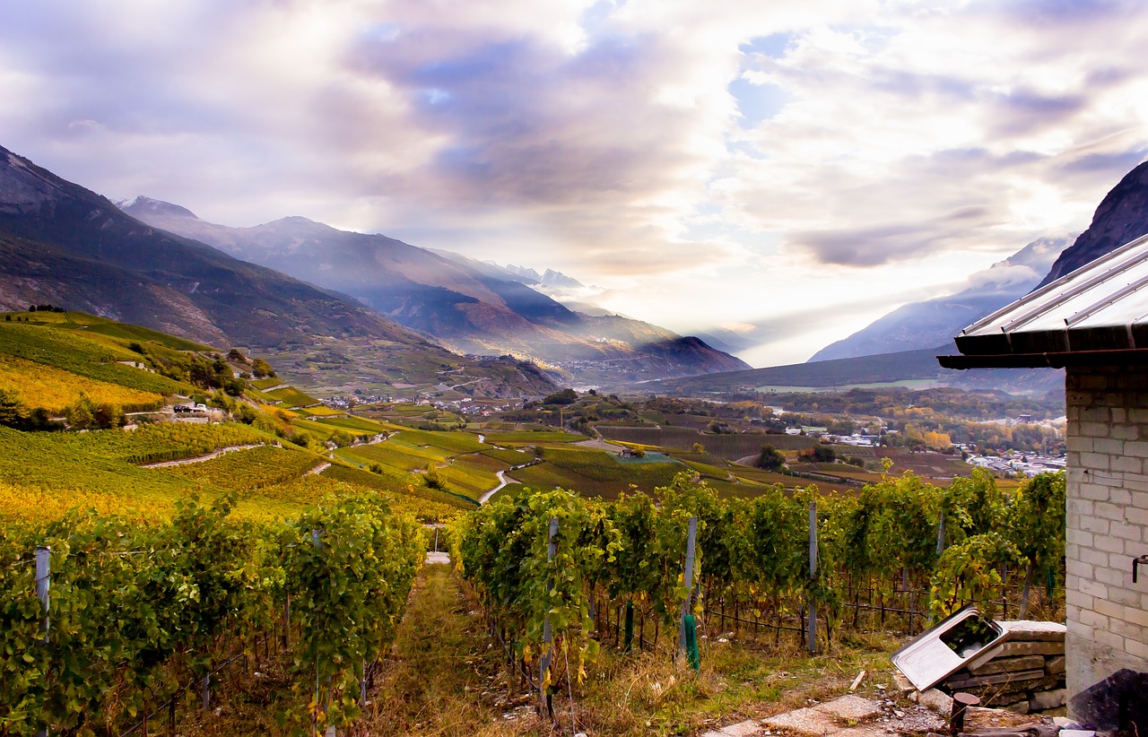 switzerland valais mountain free photo